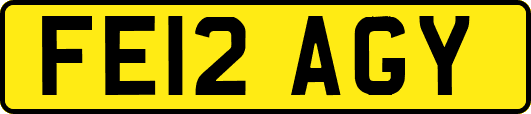 FE12AGY