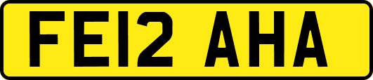 FE12AHA