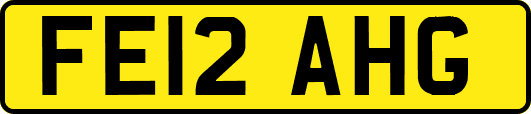 FE12AHG