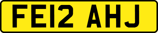 FE12AHJ