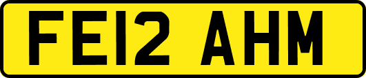 FE12AHM