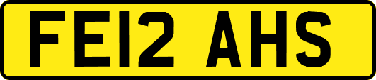 FE12AHS