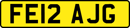 FE12AJG