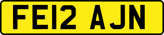 FE12AJN