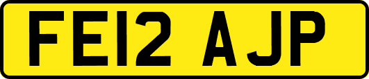 FE12AJP