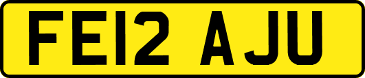 FE12AJU