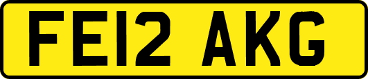 FE12AKG