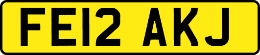 FE12AKJ