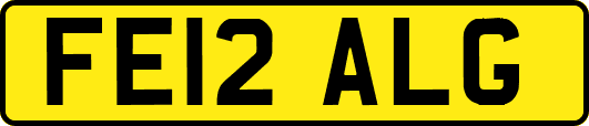 FE12ALG
