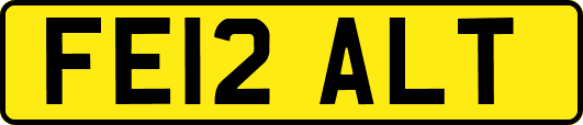 FE12ALT