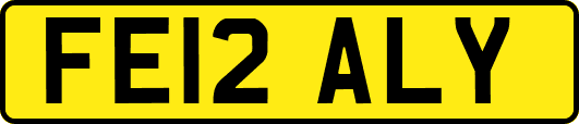 FE12ALY
