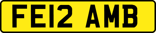 FE12AMB