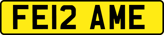 FE12AME