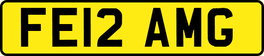 FE12AMG
