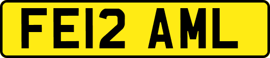 FE12AML