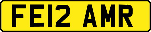 FE12AMR