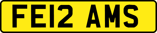 FE12AMS
