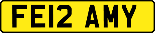 FE12AMY