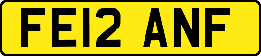 FE12ANF