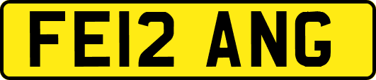 FE12ANG