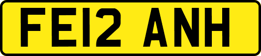FE12ANH