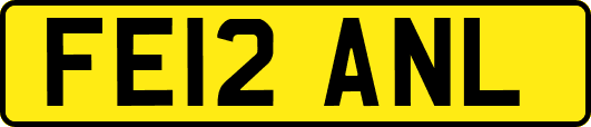 FE12ANL