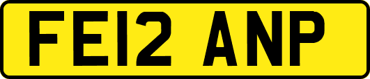 FE12ANP