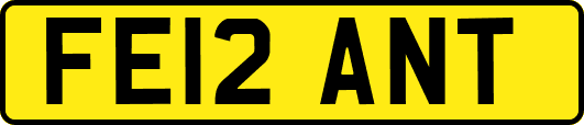 FE12ANT