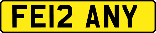 FE12ANY