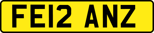 FE12ANZ