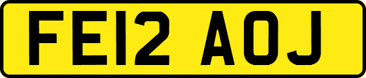 FE12AOJ