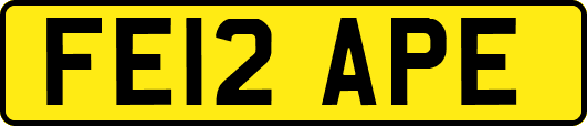 FE12APE