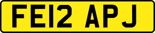 FE12APJ