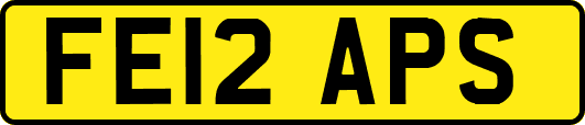 FE12APS