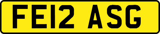 FE12ASG
