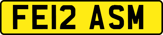 FE12ASM