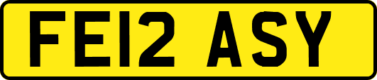FE12ASY