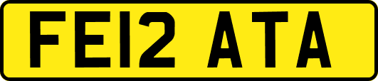 FE12ATA