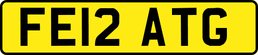 FE12ATG