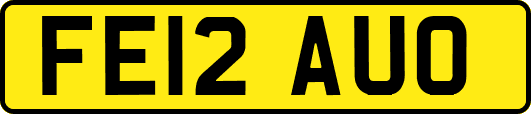 FE12AUO