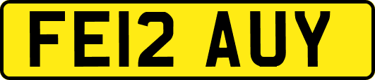 FE12AUY