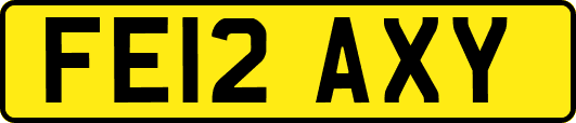 FE12AXY
