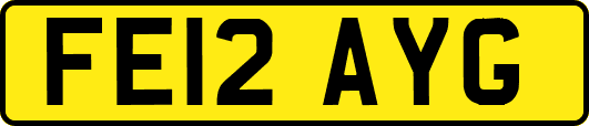 FE12AYG