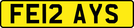 FE12AYS