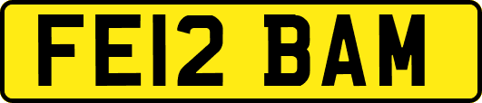 FE12BAM