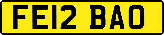 FE12BAO