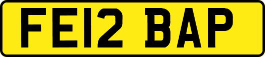FE12BAP