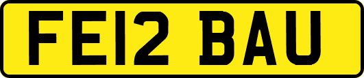 FE12BAU