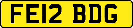 FE12BDG