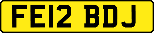 FE12BDJ